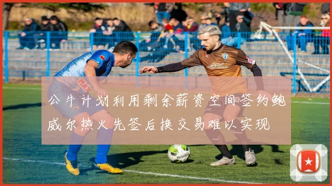 公牛计划利用剩余薪资空间签约鲍威尔热火先签后换交易难以实现